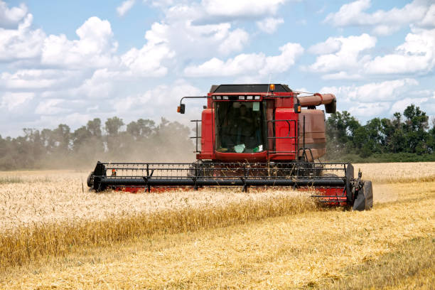istock Combine harvester working on a wheat field 638754112