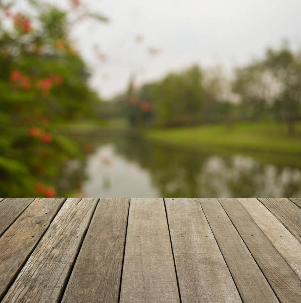 istock Empty old wood floor with blurred of flower and tree 638754504