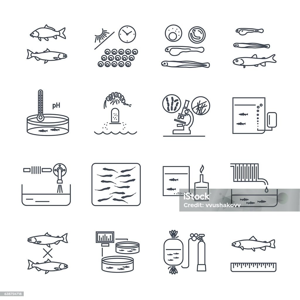 얇은 선 아이콘 양식 제작 공정 세트 - 로열티 프리 수산증식 벡터 아트