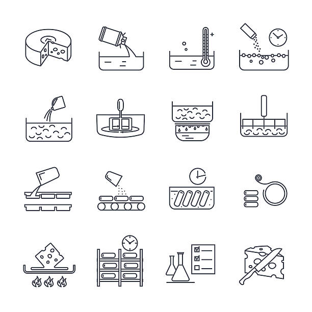 ilustrações de stock, clip art, desenhos animados e ícones de set of thin line icons manufacture of cheese production - the game of operation