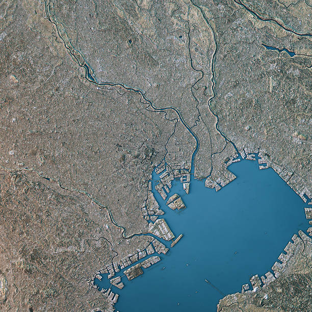 mapa topográfico de tokio color natural vista superior - bahía de tokio fotografías e imágenes de stock
