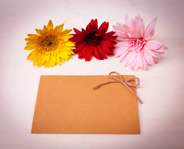 istock Colorful flower and blank card 638764324
