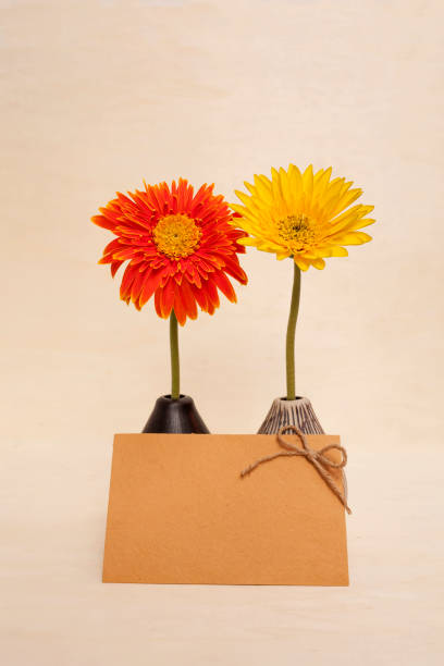 istock Daisy flower and yellow paper card 638764766