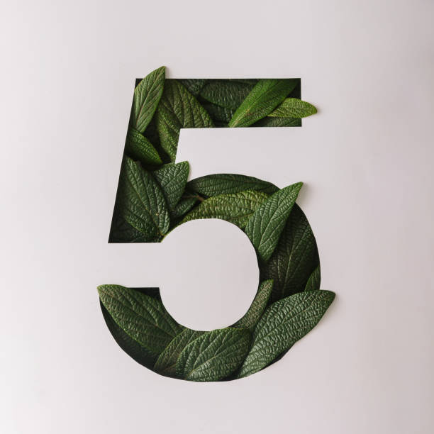 istock Number five shape cutout with green leaves. Nature concept. Flat 638765524