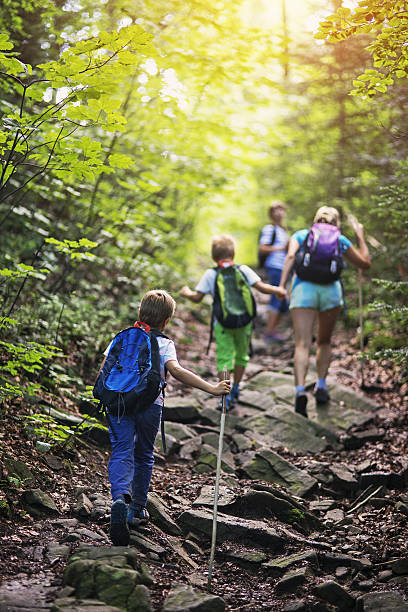 istock Family hiking in sunny forest 638770282