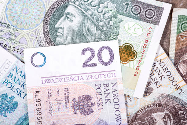 istock Polish zloty 638772388