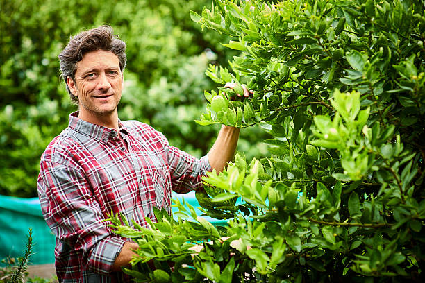 istock There's nothing better than food that's homegrown 638774920