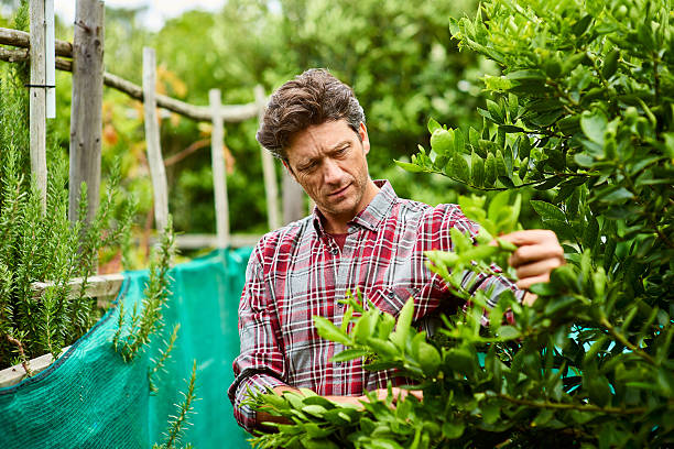 istock Keeping an eye on his garden 638774986