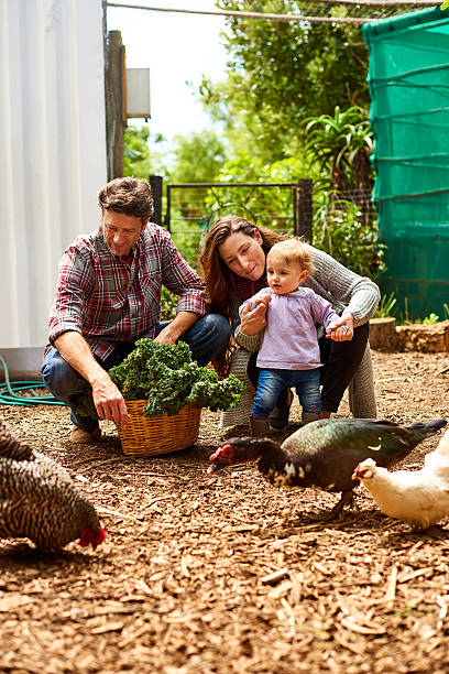 istock She already loves life on the farm 638775102