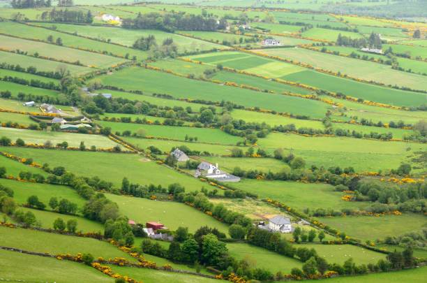 istock Mt Leinster Scenic Drive, Co Carlow 638775356