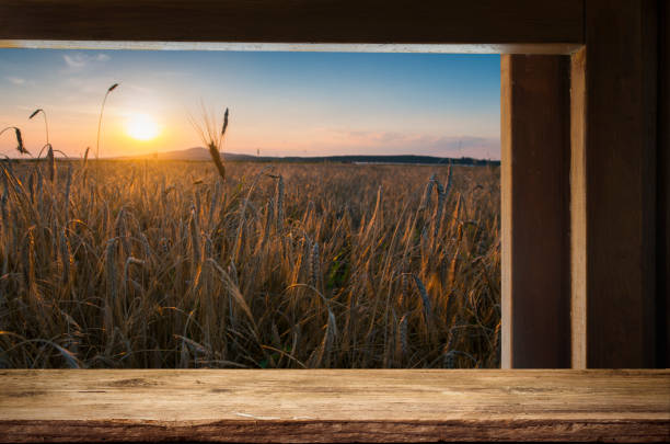 background of barrel and worn old table of wood
