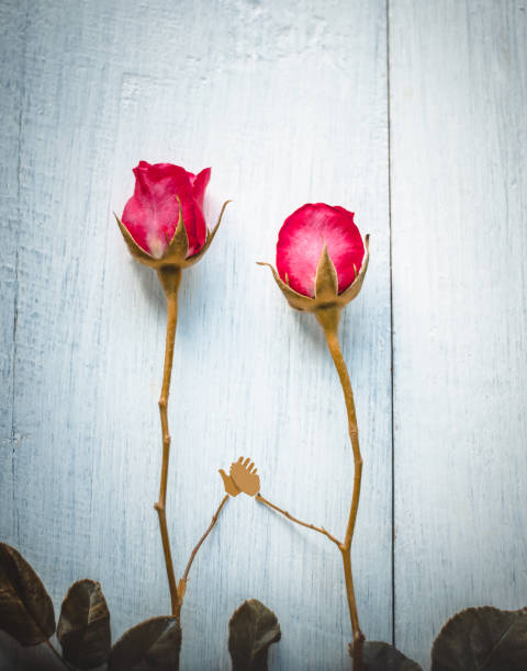 istock red rose couple hold hands. Valentine background. 638778302