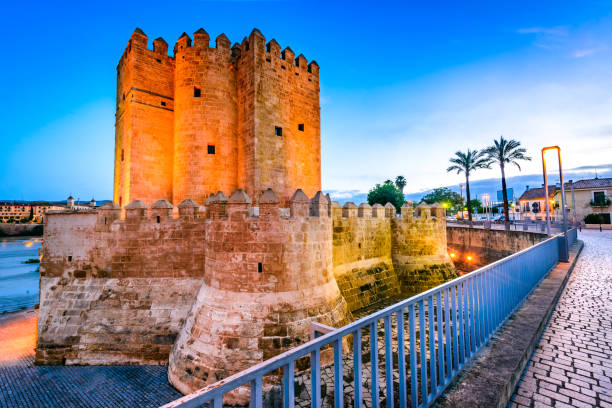 istock Cordoba - Roman Bridge, Andalusia, Spain 638778642
