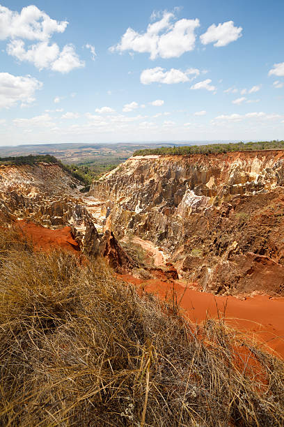 istock Ankarokaroka canyon in Ankarafantsika, Madagascar 638780286