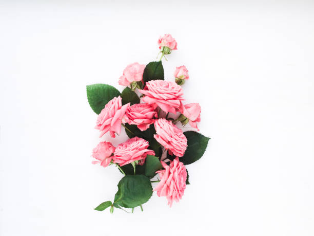 istock Bouquet of roses on white background. 638780950