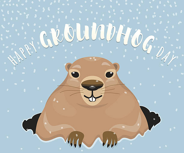 vector illustration of happy groundhog day design with cute rodent - groundhog day tatil stock illustrations