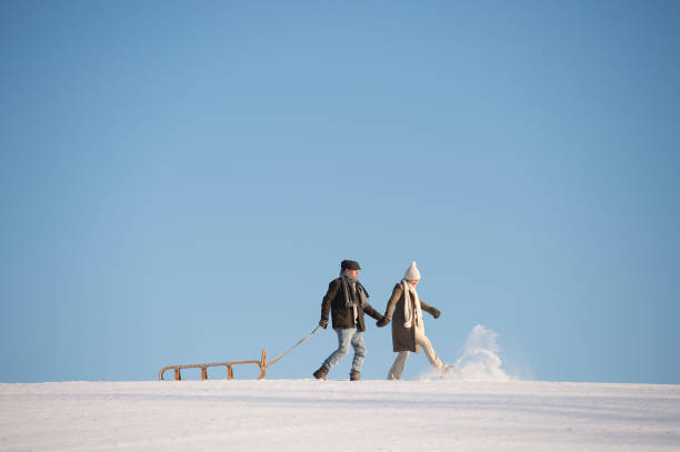 istock Beautiful senior couple on a walk pulling sledge, winter day. 638785668