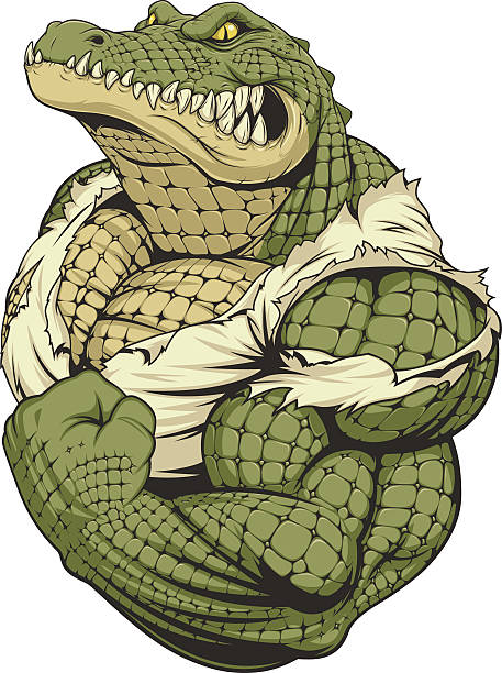 wildes starkes krokodil - alligator mascot flexing muscles body building stock-grafiken, -clipart, -cartoons und -symbole