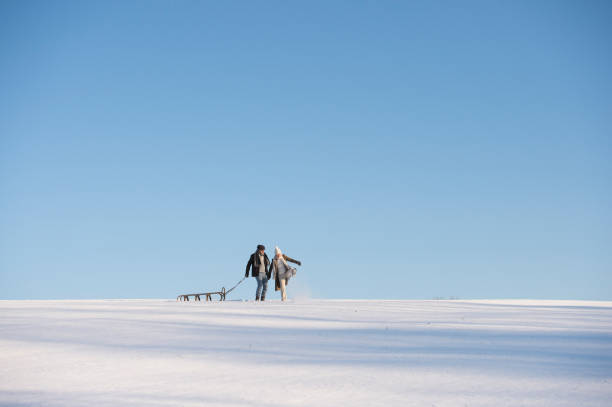 istock Beautiful senior couple on a walk pulling sledge, winter day. 638785840