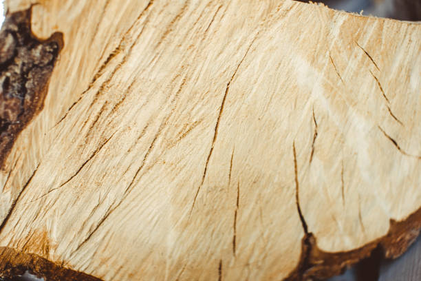 Pile of wood placed together, Firewood.
