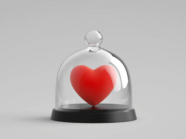 istock Heart under glass bell jar 638792760