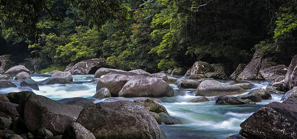 Panorama Mossman Gorge, Daintree National Park, Australia Panorama Mossman Gorge, Daintree National Park, Australia mossman gorge stock pictures, royalty-free photos & images