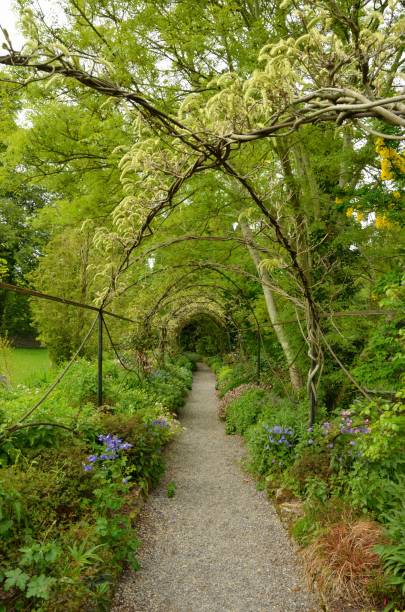 istock Altamont Gardens, Ballon, Co Carlow 638797324