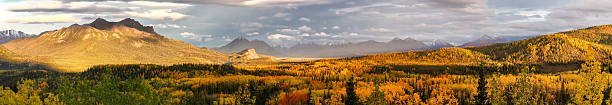 Panorama Autumn in Denali National Park, Alaska