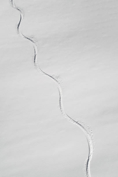 istock Ski Snowboard Tracks through fresh Powder Snow 638798798