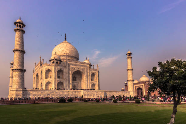 istock November 02, 2014: Gardens of the Taj Mahal 638805216