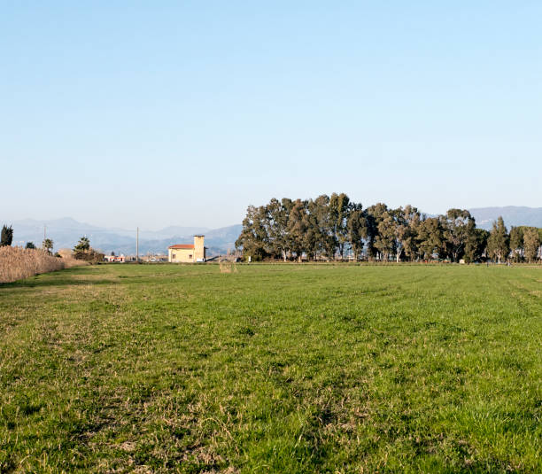 istock panoramic view of the meadow in luni 638805596