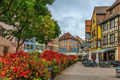 Historic houses and flowers in Colmar city center, Alsace, France