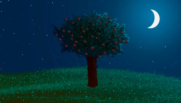 Summer. Night landscape. Apple tree with flowers on a hill in the moonlight.