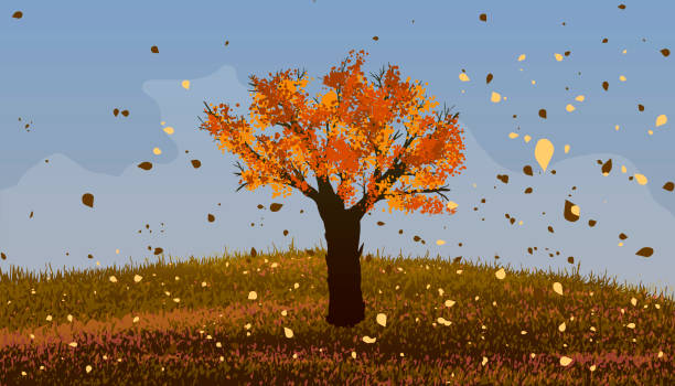 istock Autumn. Deciduous tree with orange leaves on the hill. 638813364