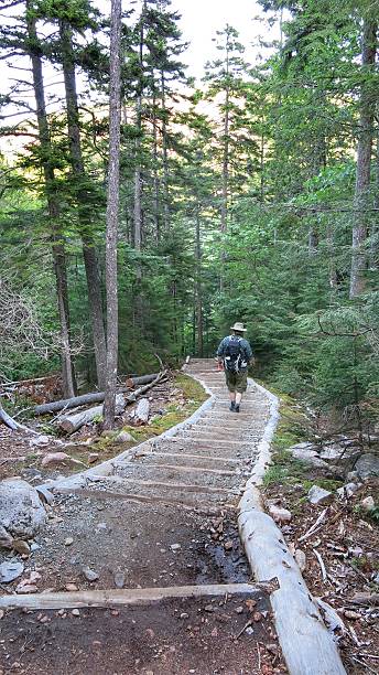 istock Hiker Descending Penobscot Mountain, Man Made Natural Elements Staircase, Acadia 638813676