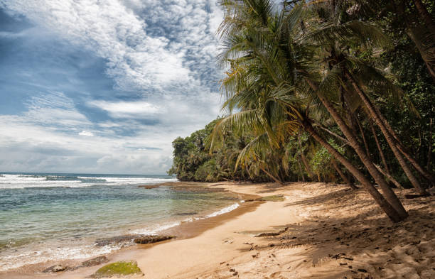 istock Costa Rica Beach 638814134