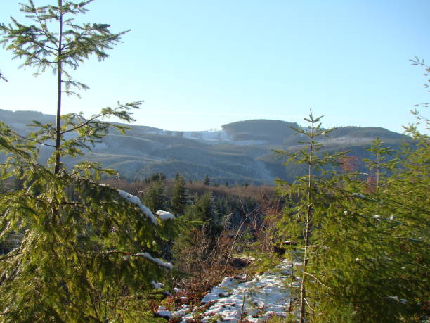 Winter day in the hills