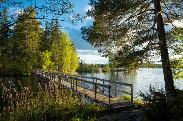 istock Wood Bridge At Lake In Autumn 638818290