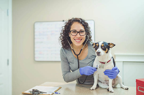 istock A female veterinarian is hugging a dog during a checkup 638818294