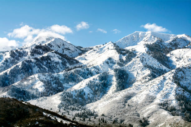 горы в северной части штата - landscaped landscape winter usa стоковые фото и изображения