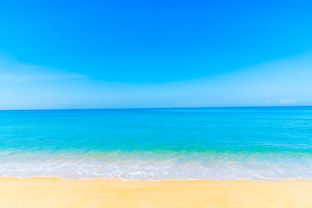 istock Beautiful beach and sea 638826480