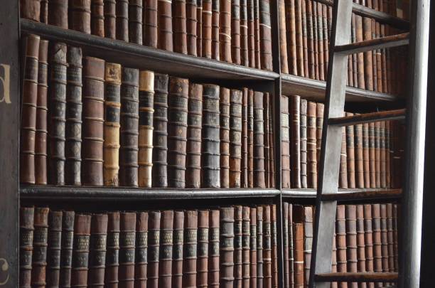 istock Wall of Books with Ladder 638826758