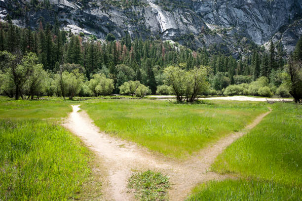 istock Yosemite National Park 638826804