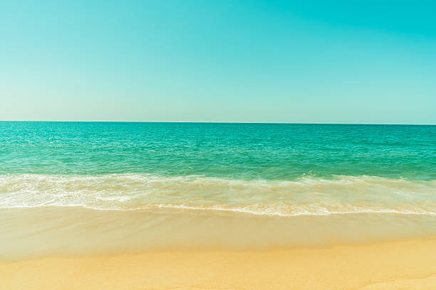 istock Beautiful beach and sea 638827058