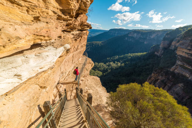 istock Woman at viewing platform looking at mountain forest from above 638827172