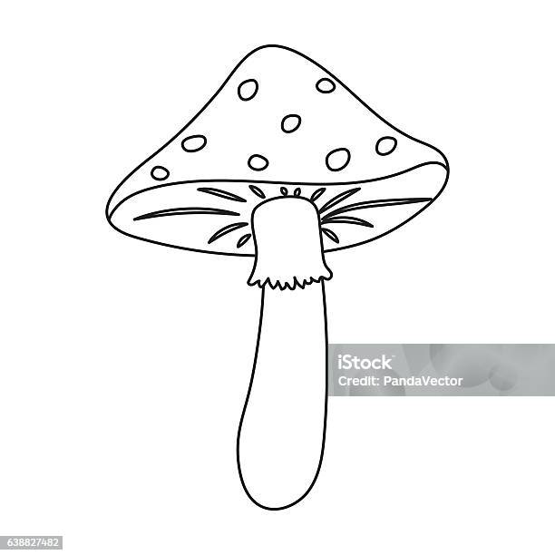 colorful and black and white mushrooms for coloring book 3135189 Vector Art at V