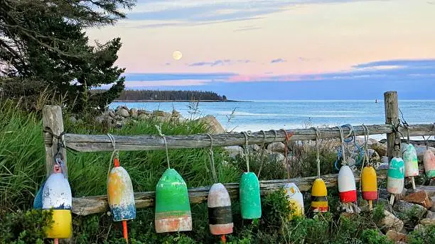 Lobster Buoys Hanging on Fence, Maine Rocky Coast Shore at twilight sunset evening time.