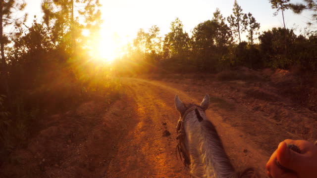 Riding a horse at sunset