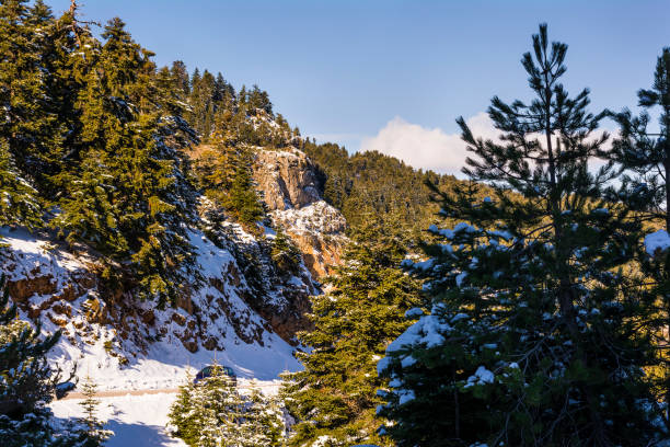 istock Ziria mountain covered with snow on a winter day, Greece 638831680
