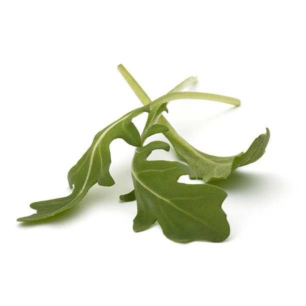 istock Sweet rucola salad or rocket lettuce leaves  on white ba 638832282